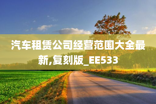 汽车租赁公司经营范围大全最新,复刻版_EE533