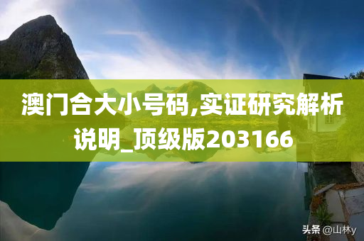 澳门合大小号码,实证研究解析说明_顶级版203166