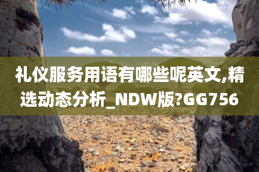 礼仪服务用语有哪些呢英文,精选动态分析_NDW版?GG756