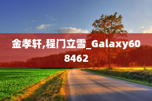 金孝轩,程门立雪_Galaxy608462