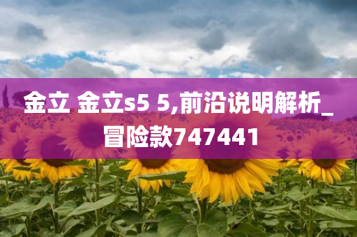 金立 金立s5 5,前沿说明解析_冒险款747441