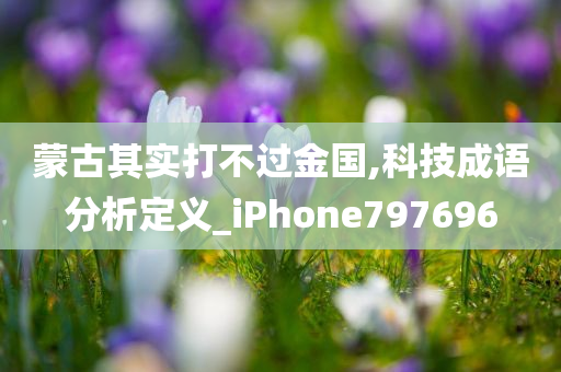 蒙古其实打不过金国,科技成语分析定义_iPhone797696