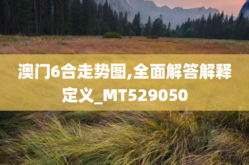 澳门6合走势图,全面解答解释定义_MT529050