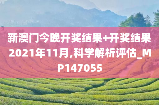 新澳门今晚开奖结果+开奖结果2021年11月,科学解析评估_MP147055