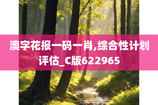 澳字花报一码一肖,综合性计划评估_C版622965