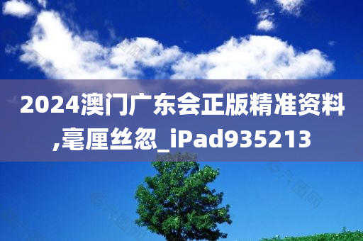 2024澳门广东会正版精准资料,毫厘丝忽_iPad935213