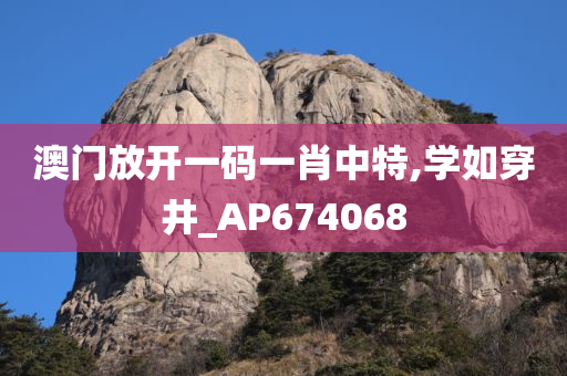 澳门放开一码一肖中特,学如穿井_AP674068