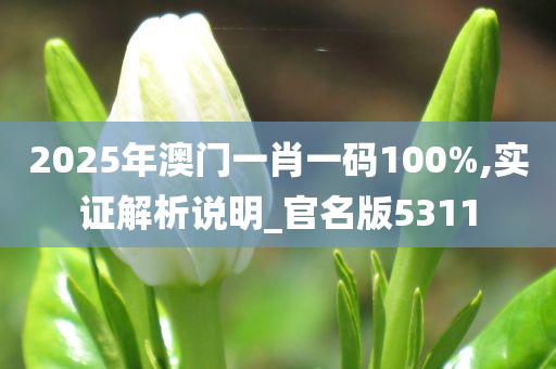 2025年澳门一肖一码100%,实证解析说明_官名版5311