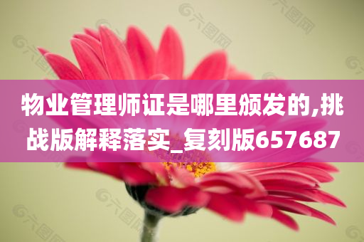 物业管理师证是哪里颁发的,挑战版解释落实_复刻版657687