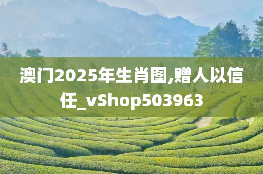 澳门2025年生肖图,赠人以信任_vShop503963