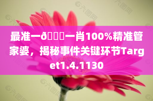 最准一🐎一肖100%精准管家婆，揭秘事件关键环节Target1.4.1130