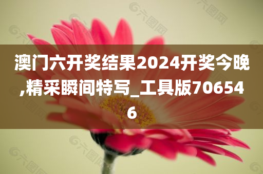 澳门六开奖结果2024开奖今晚,精采瞬间特写_工具版706546