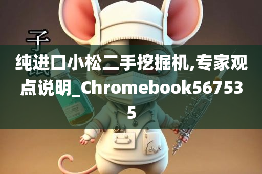 纯进口小松二手挖掘机,专家观点说明_Chromebook567535