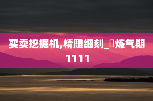 买卖挖掘机,精雕细刻_‌炼气期1111