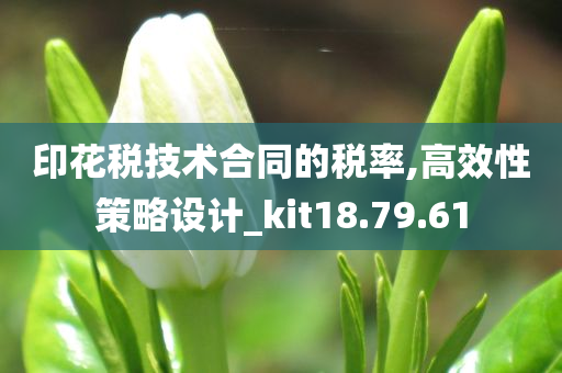 印花税技术合同的税率,高效性策略设计_kit18.79.61