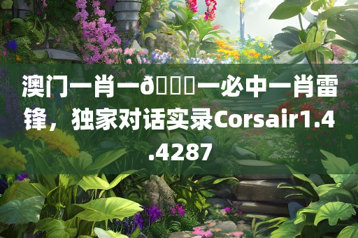 澳门一肖一🐎一必中一肖雷锋，独家对话实录Corsair1.4.4287