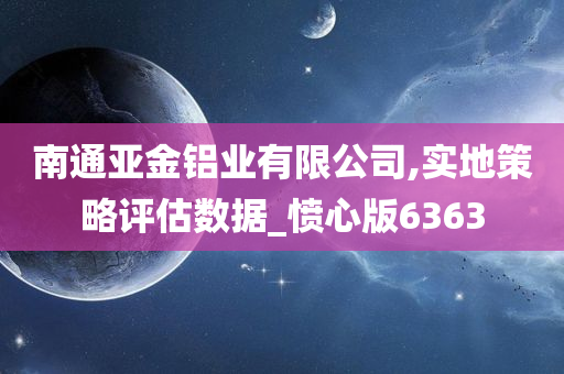 南通亚金铝业有限公司,实地策略评估数据_愤心版6363