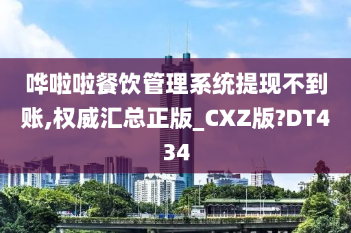 哗啦啦餐饮管理系统提现不到账,权威汇总正版_CXZ版?DT434