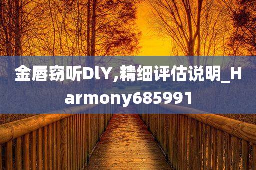 金唇窃听DlY,精细评估说明_Harmony685991