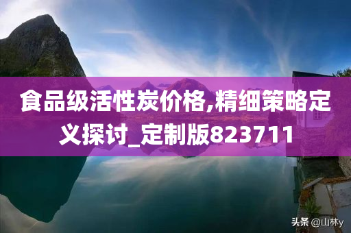 食品级活性炭价格,精细策略定义探讨_定制版823711