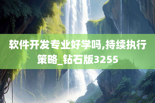 软件开发专业好学吗,持续执行策略_钻石版3255