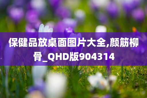 保健品放桌面图片大全,颜筋柳骨_QHD版904314