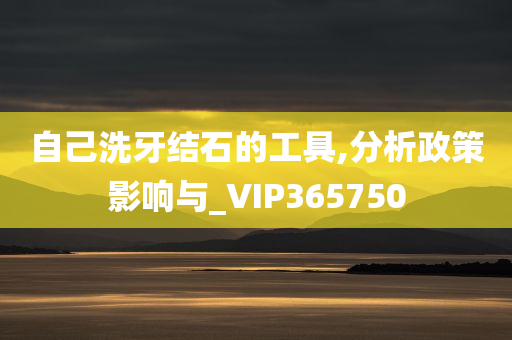 自己洗牙结石的工具,分析政策影响与_VIP365750