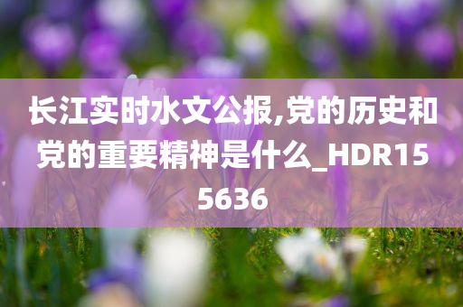 长江实时水文公报,党的历史和党的重要精神是什么_HDR155636