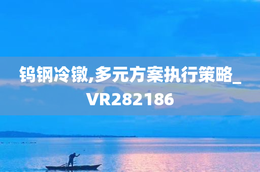 钨钢冷镦,多元方案执行策略_VR282186