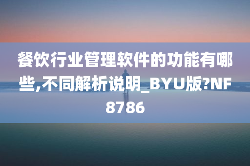 餐饮行业管理软件的功能有哪些,不同解析说明_BYU版?NF8786