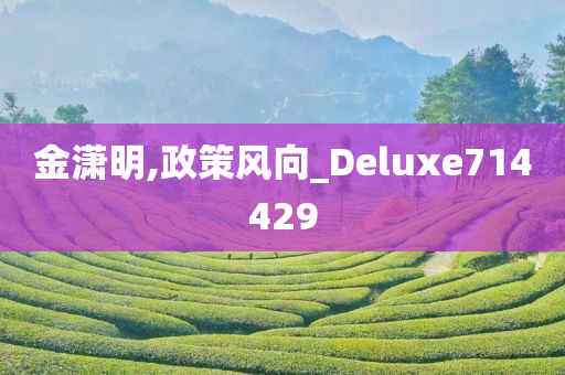 金潇明,政策风向_Deluxe714429