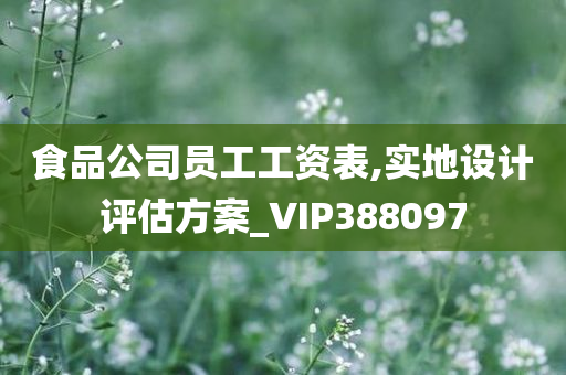 食品公司员工工资表,实地设计评估方案_VIP388097