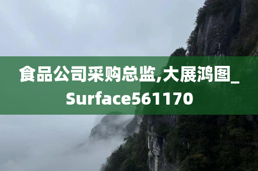 食品公司采购总监,大展鸿图_Surface561170