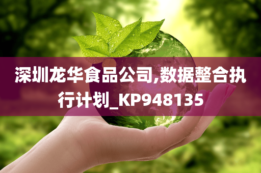 深圳龙华食品公司,数据整合执行计划_KP948135