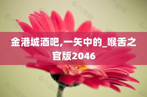 金港城酒吧,一矢中的_喉舌之官版2046