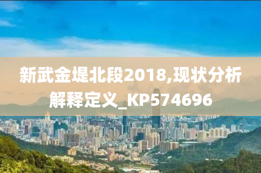 新武金堤北段2018,现状分析解释定义_KP574696