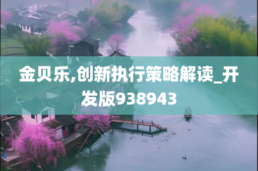 金贝乐,创新执行策略解读_开发版938943