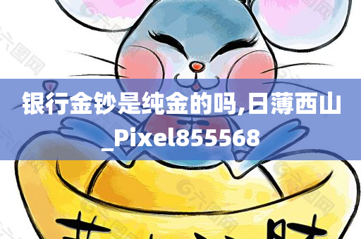 银行金钞是纯金的吗,日薄西山_Pixel855568