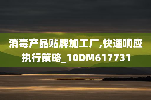 消毒产品贴牌加工厂,快速响应执行策略_10DM617731