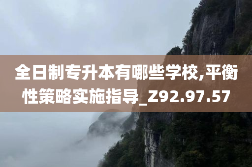 全日制专升本有哪些学校,平衡性策略实施指导_Z92.97.57