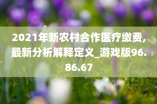 2021年新农村合作医疗缴费,最新分析解释定义_游戏版96.86.67