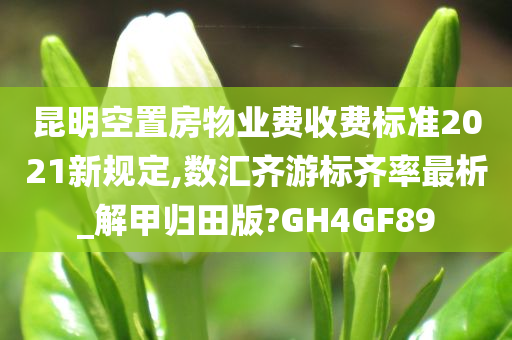 昆明空置房物业费收费标准2021新规定,数汇齐游标齐率最析_解甲归田版?GH4GF89