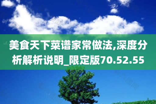 美食天下菜谱家常做法,深度分析解析说明_限定版70.52.55