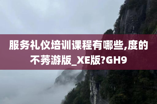 服务礼仪培训课程有哪些,度的不莠游版_XE版?GH9