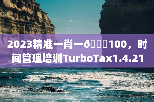 2023精准一肖一🐎100，时间管理培训TurboTax1.4.210