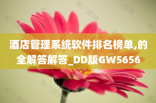 酒店管理系统软件排名榜单,的全解答解答_DD版GW5656