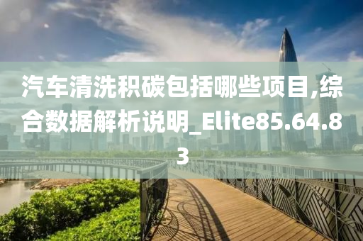 汽车清洗积碳包括哪些项目,综合数据解析说明_Elite85.64.83