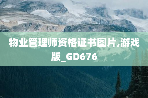 物业管理师资格证书图片,游戏版_GD676