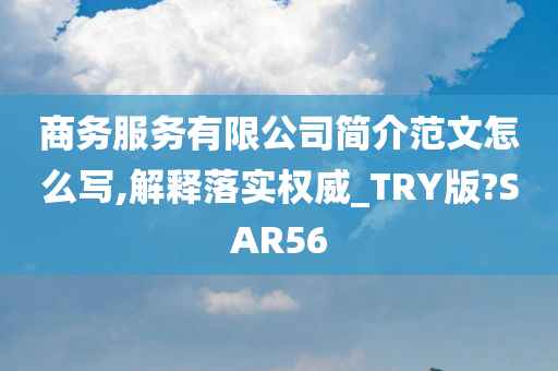 商务服务有限公司简介范文怎么写,解释落实权威_TRY版?SAR56