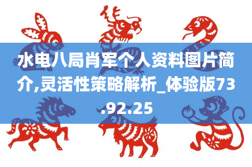 水电八局肖军个人资料图片简介,灵活性策略解析_体验版73.92.25